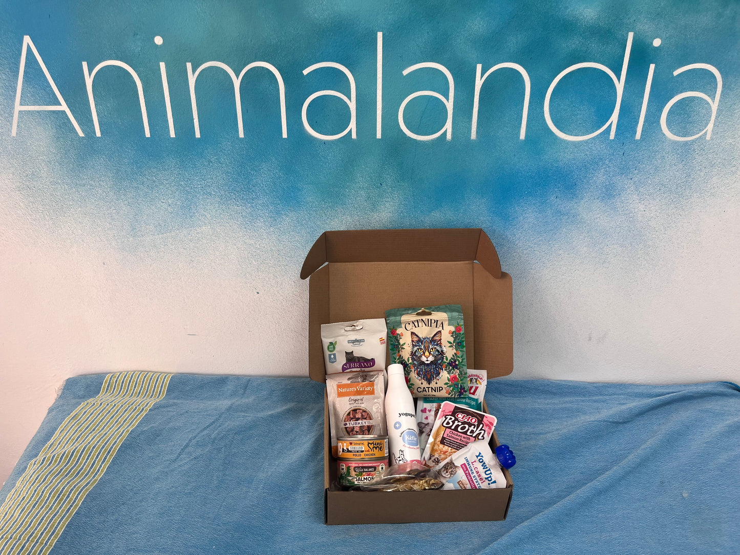 Animalandia box gato